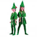 7C127 ش Ᾱ úԹ Peter Pan or Robin Hood Costumes