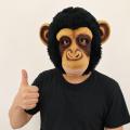 7C375.5 ˹�ҡҡ�ԧ���ỹ�� ˹�ҡҡ����ԧ ˹�ҡҡ�ҧ ˹�ҡҡ������ Chimpanzee Monkey Head Rubber Mask Costume
