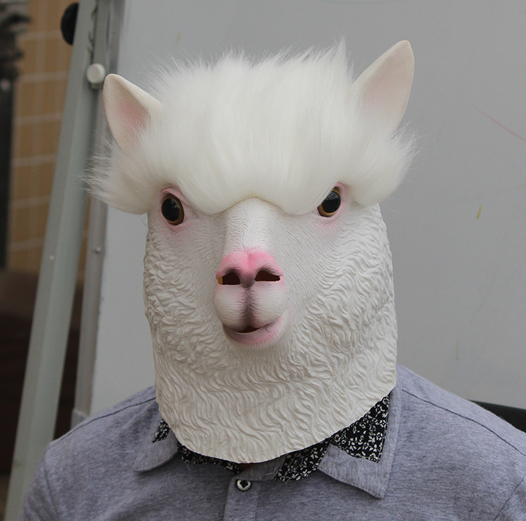 ٻҾ2 ͧԹ : ++++˹ҡҡŻҡ ˹ҡҡAlpaca 