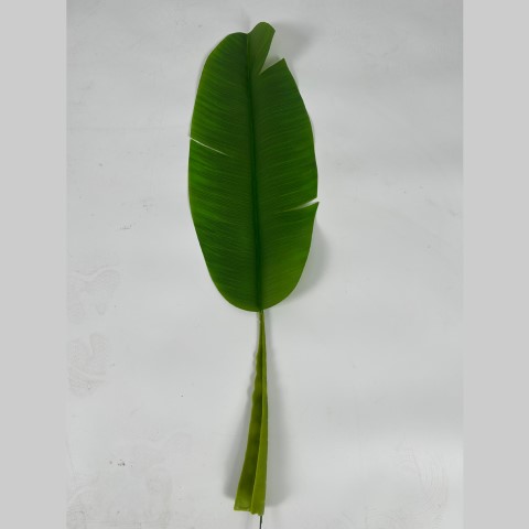 �ٻ�Ҿ���2 �ͧ�Թ��� : ++�������++�ش�ҧ�ҹ� �ػ�ó�Ѵ��� �� ⨧���ູ 㺵ͧ���� ���Ҵ������� ����Ѵ