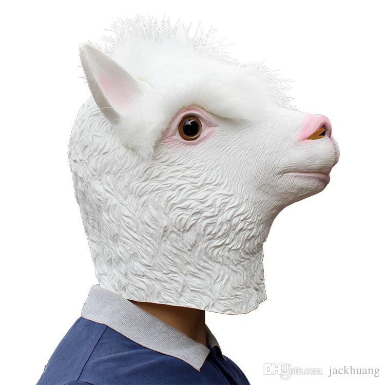 ٻҾ3 ͧԹ : ++++˹ҡҡŻҡ ˹ҡҡAlpaca 