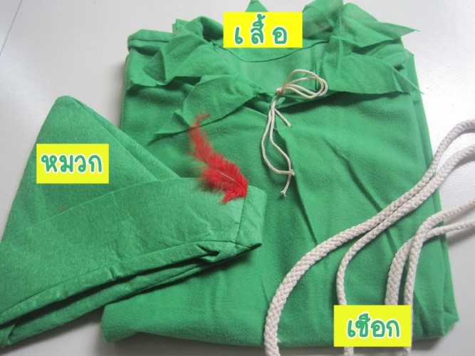 ٻҾ4 ͧԹ : 7C127.1 ش Ᾱ úԹ Peter Pan or Robin Hood Costumes
