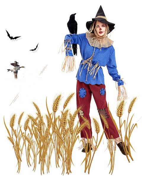 ٻҾ4 ͧԹ : ++++駪˭ԧ شع  scarecrow costume The Wizard of Oz ͧͫ