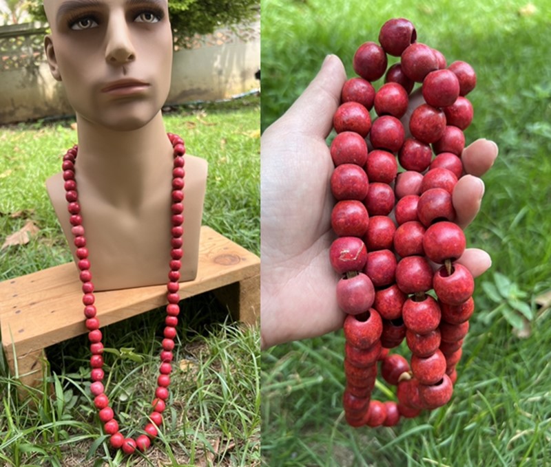 �ٻ�Ҿ���4 �ͧ�Թ��� : ������觷ء�� ����»�Ф�����˭�18��� ������١��Ф� ��ФӾ�жѧ������ ������� 50cm