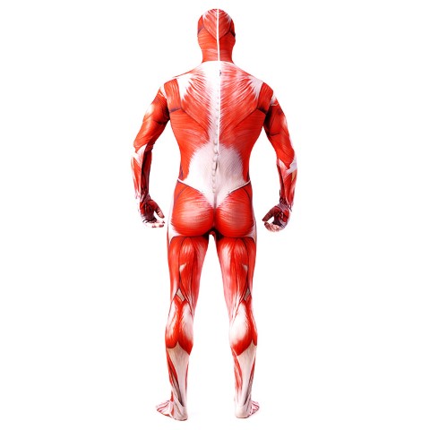 ٻҾ5 ͧԹ : 7C205 شʹٷ ䷷ѹ ش Ҿ䷷ѹ Colossus Titan Bodysuit Attack on Titan Costumes