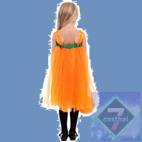 ٻҾ5 ͧԹ : 7C214 ش˭ԧ ش شչ شѡͧ ѡͧ Children Pumpkin Halloween Costume