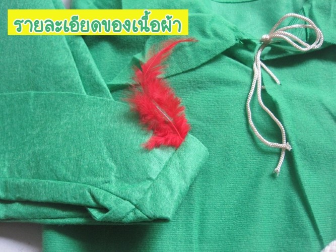 ٻҾ5 ͧԹ : 7C127.1 ش Ᾱ úԹ Peter Pan or Robin Hood Costumes