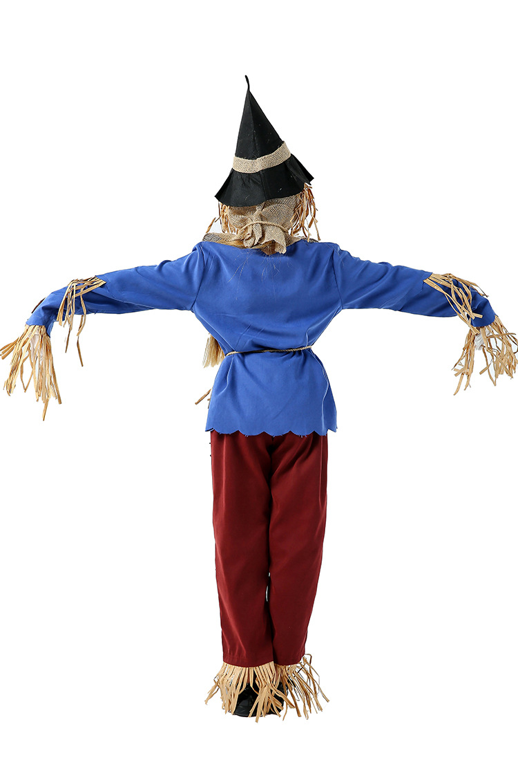 ٻҾ5 ͧԹ : 7C355 ش ش ͧͫ Children Scarecrow Wizard of Oz Costumes
