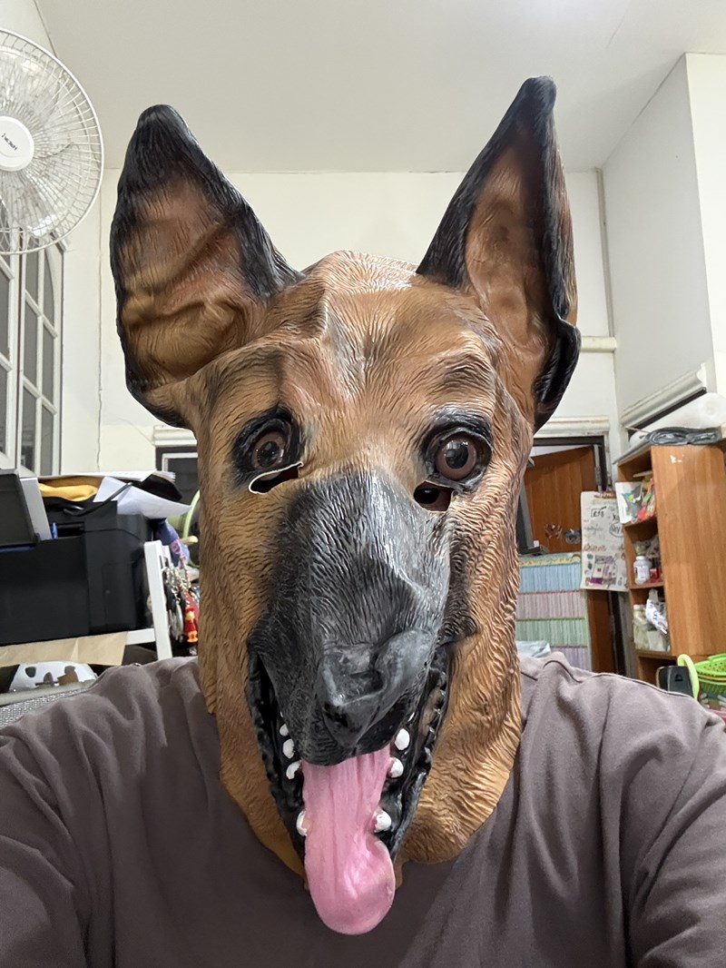 ٻҾ5 ͧԹ : 7C375.3 ˹ҡҡ ˹ҡҡ ˹ҡҡҧ ˹ҡҡ Dog Head Rubber Mask Costumes