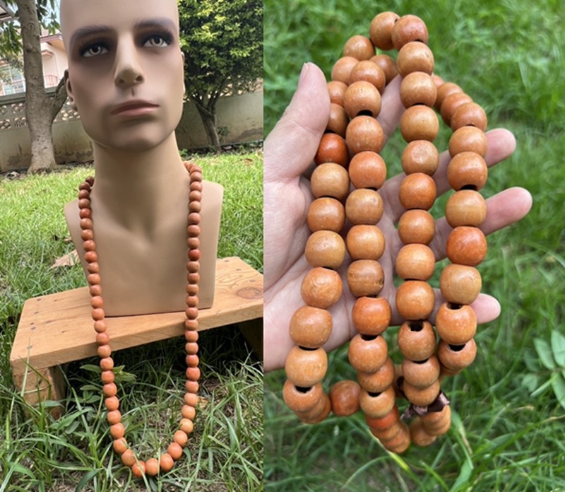 �ٻ�Ҿ���5 �ͧ�Թ��� : ������觷ء�� ����»�Ф�����˭�18��� ������١��Ф� ��ФӾ�жѧ������ ������� 50cm