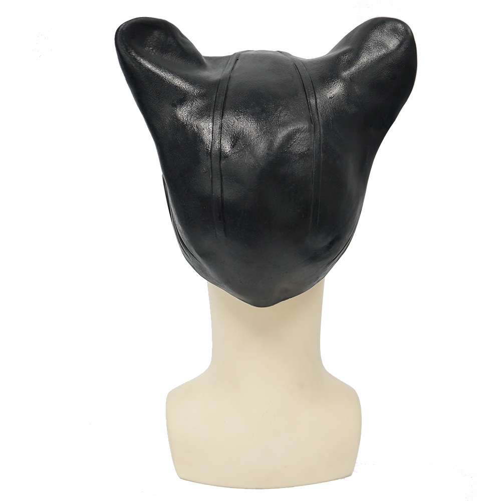 ٻҾ6 ͧԹ : ++++˹ҡҡᤷ ʴ˹ѧ  catwoman