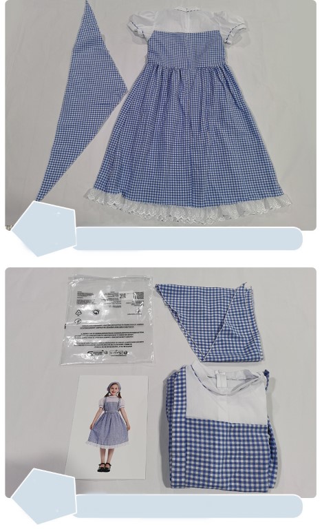 �ٻ�Ҿ���6 �ͧ�Թ��� : ++�������++�ش��ø� �� �شdorothy ��������Ȩ��������ͫ The Wizard of Oz �����������ͧ�ͫ The Wonderful Wizard of Oz